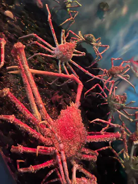 横浜・八景島シーパラダイスに投稿された画像（2022/1/5）