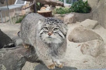 神戸どうぶつ王国に投稿された画像（2022/1/5）