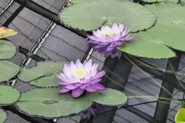 神戸どうぶつ王国に投稿された画像（2022/1/5）