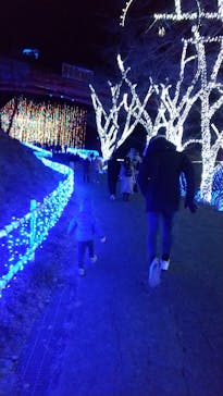 さがみ湖MORI MORIに投稿された画像（2022/1/5）