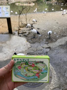 ネオパークオキナワに投稿された画像（2022/1/5）