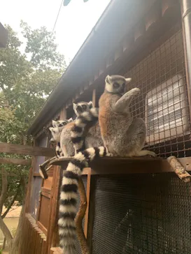 神戸どうぶつ王国に投稿された画像（2022/1/5）