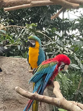 神戸どうぶつ王国に投稿された画像（2022/1/5）