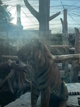 神戸どうぶつ王国に投稿された画像（2022/1/5）