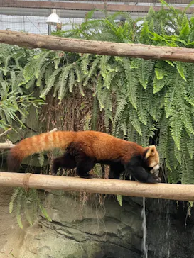 神戸どうぶつ王国に投稿された画像（2022/1/5）