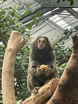 神戸どうぶつ王国に投稿された画像（2022/1/5）