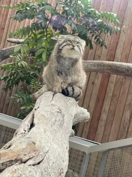 神戸どうぶつ王国に投稿された画像（2022/1/5）