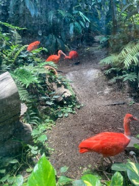 カワスイ 川崎⽔族館に投稿された画像（2022/1/5）