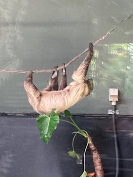 カワスイ 川崎⽔族館に投稿された画像（2022/1/5）