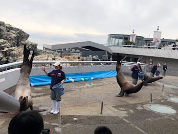 大分マリーンパレス水族館 「うみたまご」に投稿された画像（2022/1/5）