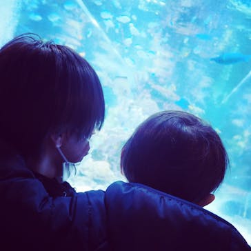 よみうりランド HANA･BIYORIに投稿された画像（2022/1/5）