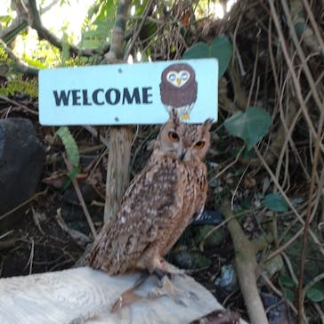 伊豆シャボテン動物公園に投稿された画像（2022/1/5）