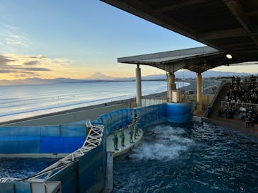 新江ノ島水族館に投稿された画像（2022/1/5）