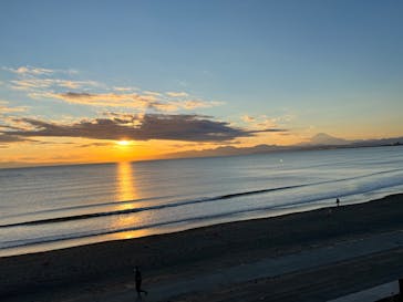 新江ノ島水族館に投稿された画像（2022/1/5）