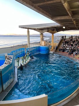 新江ノ島水族館に投稿された画像（2022/1/5）