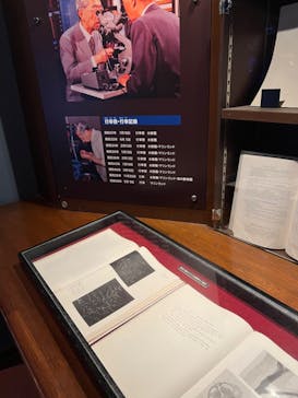 新江ノ島水族館に投稿された画像（2022/1/5）