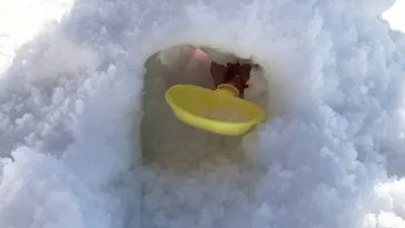 ひらかたパークに投稿された画像（2022/1/5）