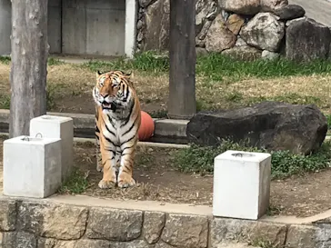 天王寺動物園に投稿された画像（2022/1/5）