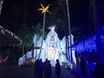 美らヤシパークオキナワ・東南植物楽園に投稿された画像（2022/1/5）