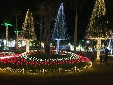 美らヤシパークオキナワ・東南植物楽園に投稿された画像（2022/1/5）