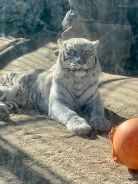 東武動物公園に投稿された画像（2022/1/5）