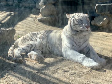 東武動物公園に投稿された画像（2022/1/5）