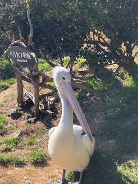 鴨川シーワールドに投稿された画像（2022/1/5）