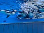 サンシャイン水族館に投稿された画像（2022/1/5）
