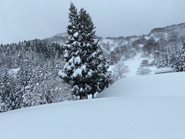 石打丸山スキー場 / ザ・ヴェランダ石打丸山に投稿された画像（2022/1/5）