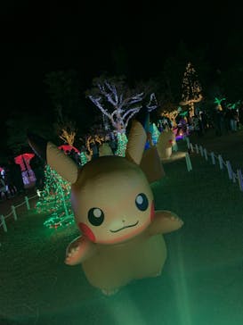 美らヤシパークオキナワ・東南植物楽園に投稿された画像（2022/1/5）