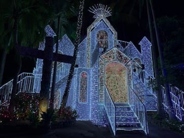 美らヤシパークオキナワ・東南植物楽園に投稿された画像（2022/1/5）