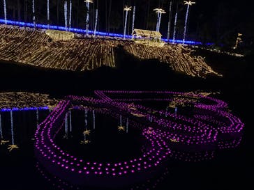 美らヤシパークオキナワ・東南植物楽園に投稿された画像（2022/1/5）