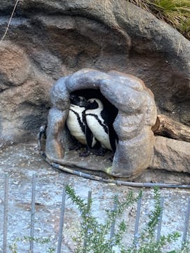 サンシャイン水族館に投稿された画像（2022/1/5）