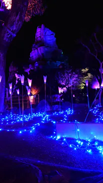 ひらかたパークに投稿された画像（2022/1/5）