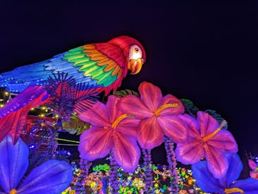 伊豆ぐらんぱる公園に投稿された画像（2022/1/5）