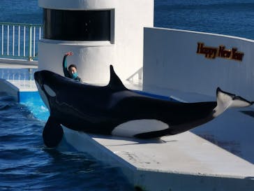鴨川シーワールドに投稿された画像（2022/1/5）