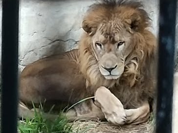 沖縄こどもの国に投稿された画像（2022/1/5）