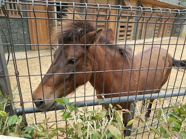 沖縄こどもの国に投稿された画像（2022/1/5）