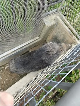 沖縄こどもの国に投稿された画像（2022/1/5）