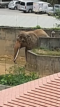 沖縄こどもの国に投稿された画像（2022/1/5）