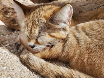 ネオパークオキナワに投稿された画像（2022/1/5）