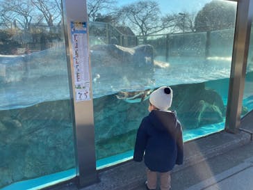 東武動物公園に投稿された画像（2022/1/5）