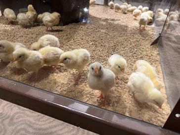 Moff animal world MARK IS みなとみらい店に投稿された画像（2022/1/5）