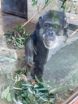 伊豆アニマルキングダムに投稿された画像（2022/1/5）