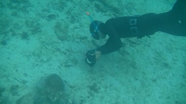 アマミエンシスに投稿された画像（2022/1/5）