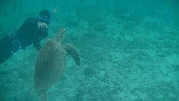 アマミエンシスに投稿された画像（2022/1/5）