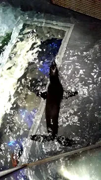 すみだ水族館に投稿された画像（2022/1/5）