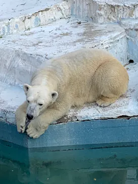 天王寺動物園に投稿された画像（2022/1/5）