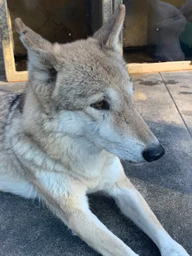 天王寺動物園に投稿された画像（2022/1/5）