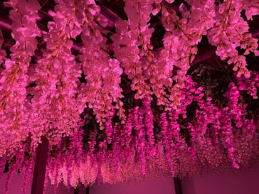 東京メガイルミに投稿された画像（2022/1/5）